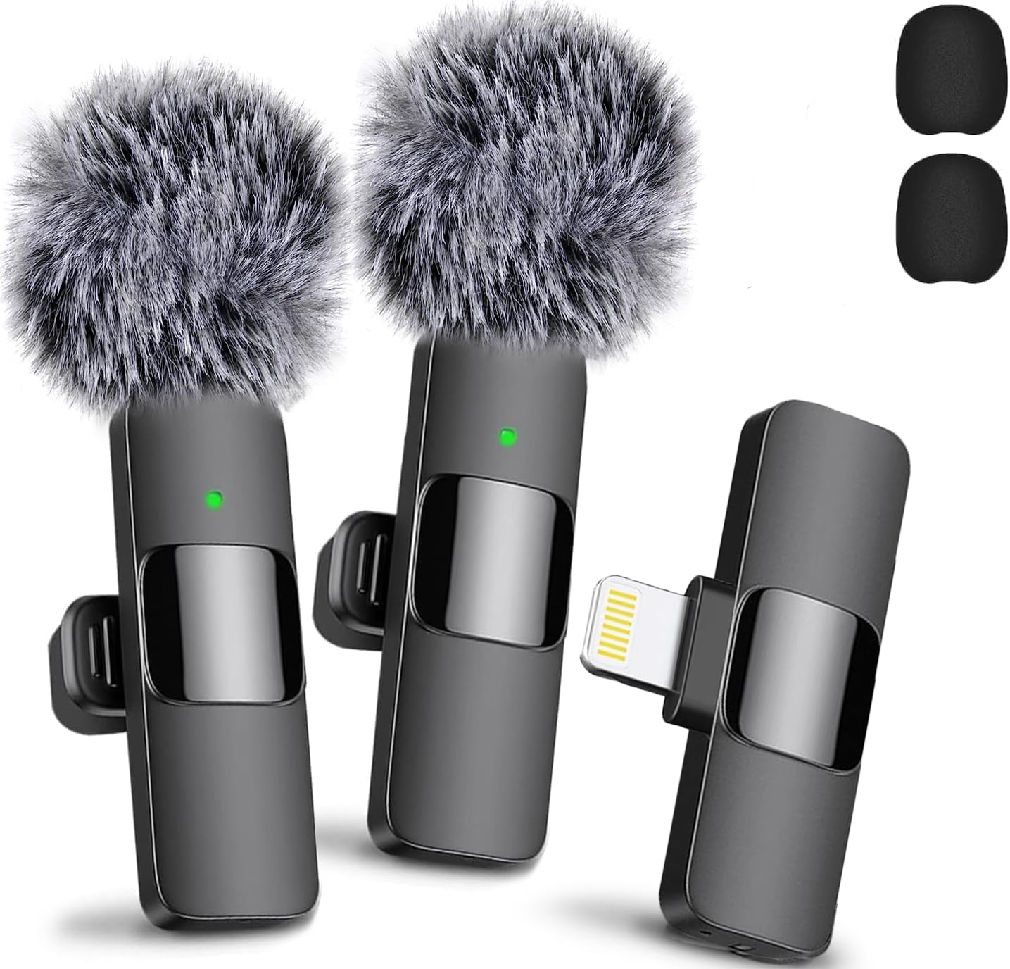 Mini Mic Pro Dual Pros