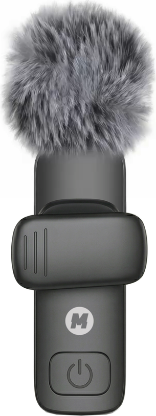Mini Mic Pro, back