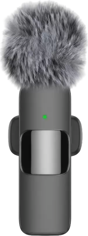 Mini Mic Pro, front